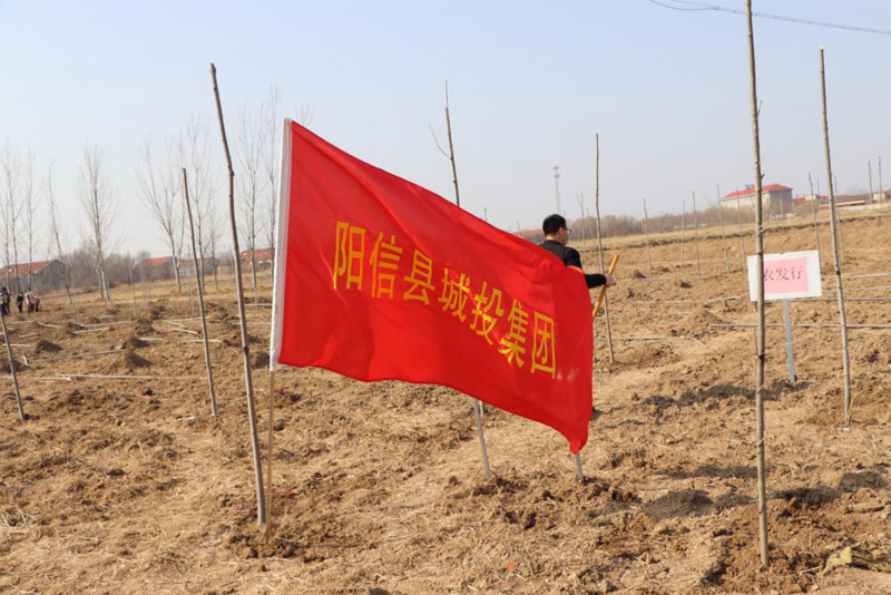 陽信縣城投集團(tuán)組織開展植樹節(jié)活動(dòng)