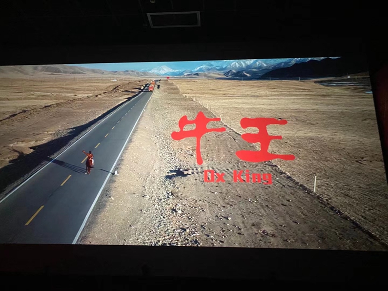  陽信縣城投集團：組織干部職工觀看山東省首部扶貧題材院線電影《牛王》