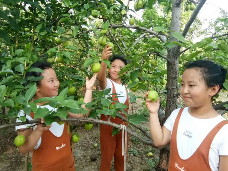 陽信：被確定為全國加強鄉(xiāng)村地名管理試點縣