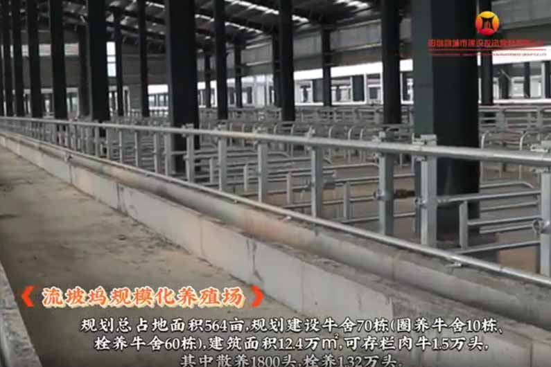 流坡塢規(guī)模化養(yǎng)殖場(chǎng)